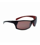 Dynamic Sun Glasses
