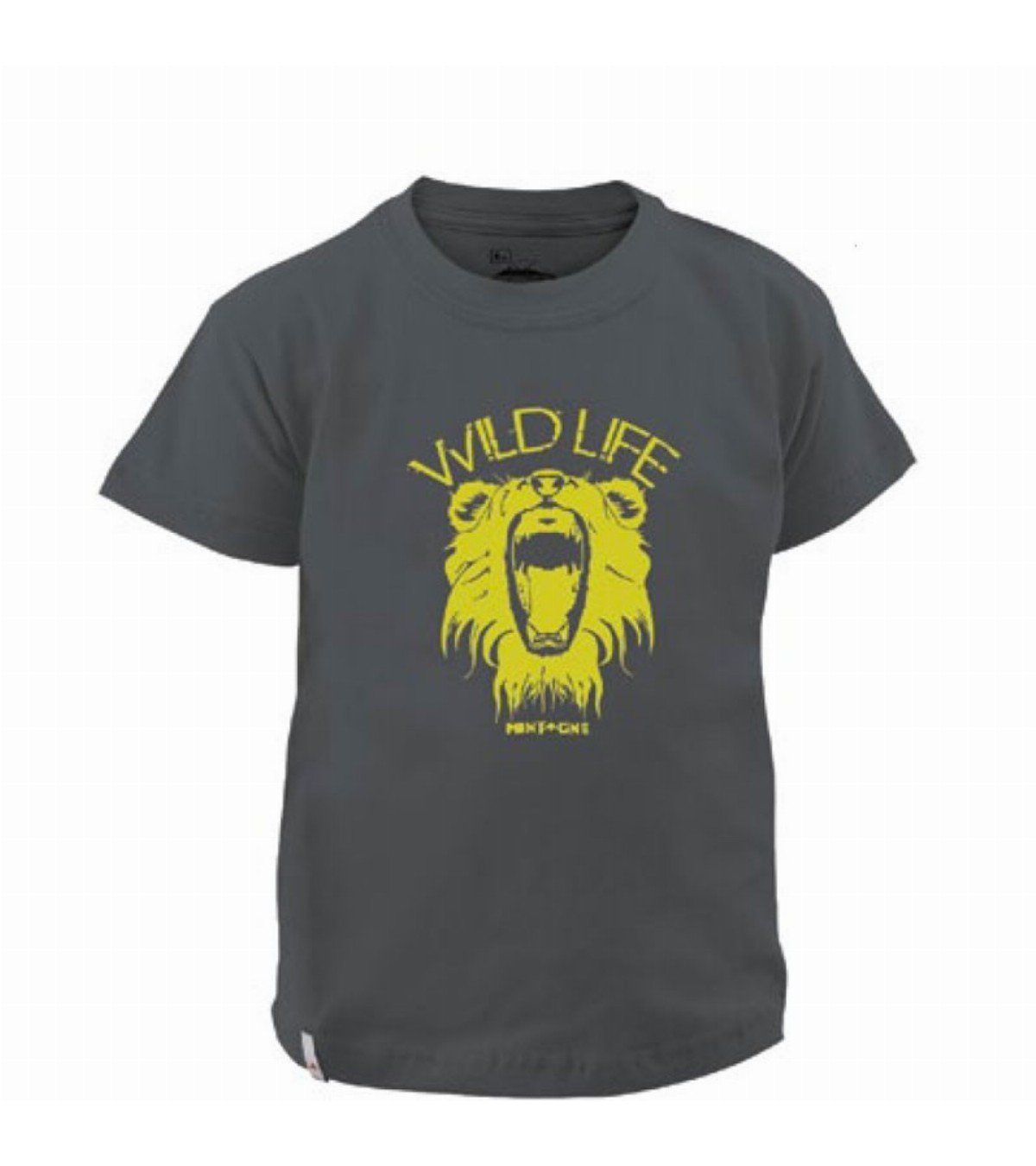 Lion children T-shirt Lion children T-shirt