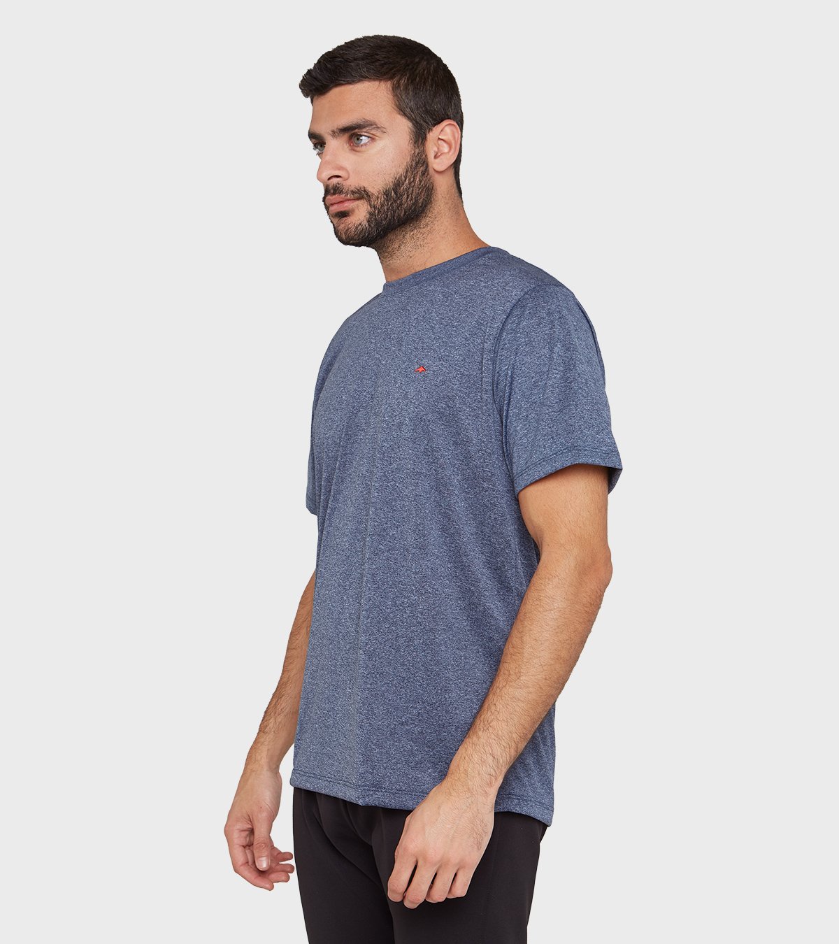 Remera de hombre Asterix