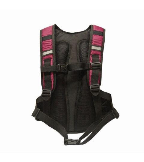 Race 4lts. Backpack
