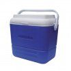 Polar Cooler 36 Lts