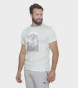 Remera de hombre Tebas