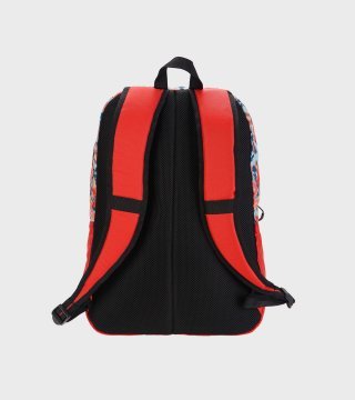 Mochila Holland 35 Lts