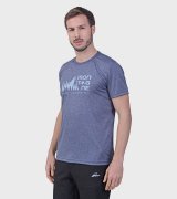Remera de hombre Ridge