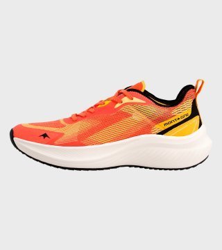 Zapatillas de hombre Invictus