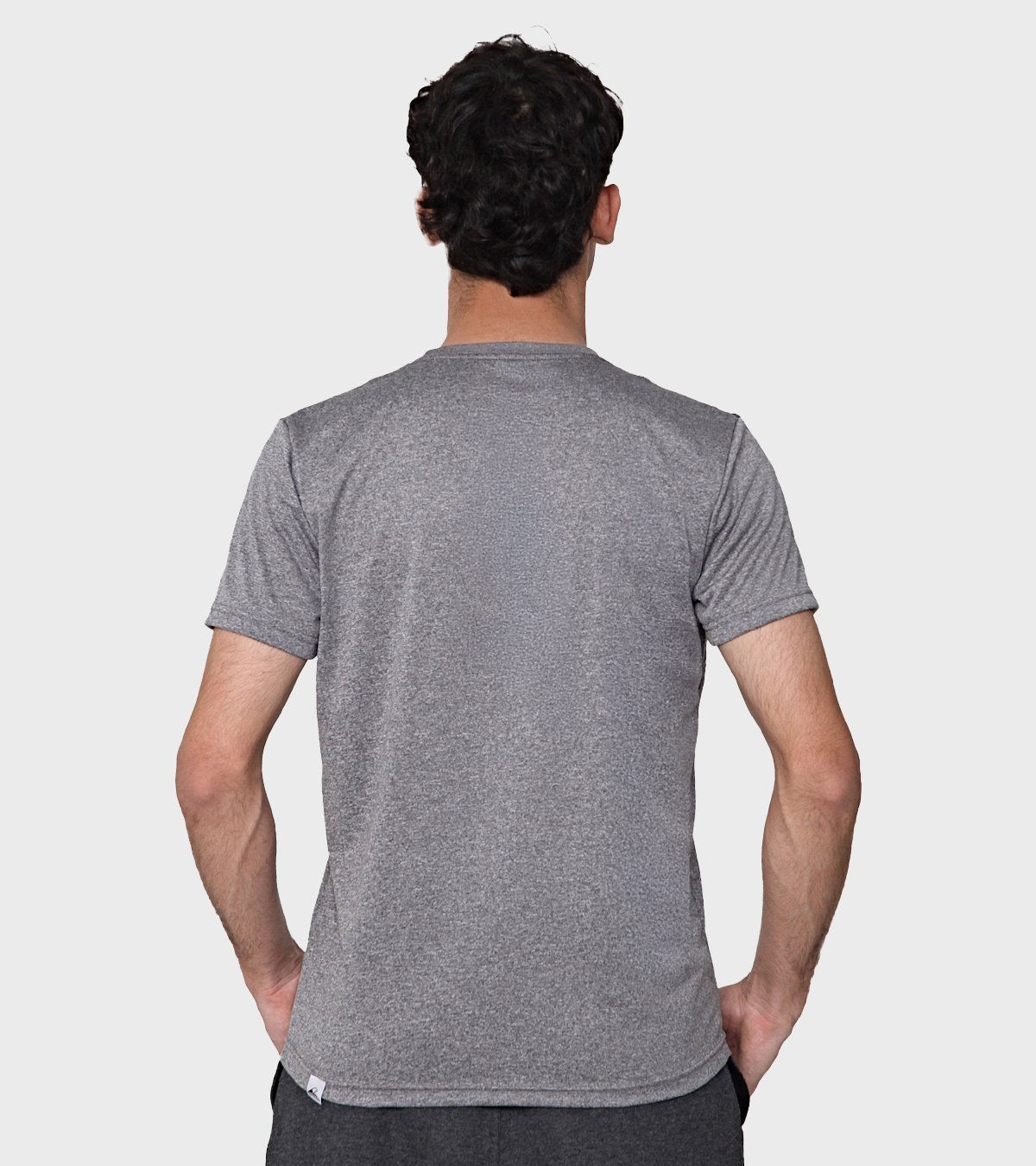 Remera de hombre Ridge