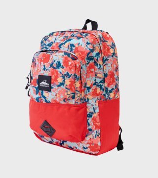Mochila Holland 35 Lts