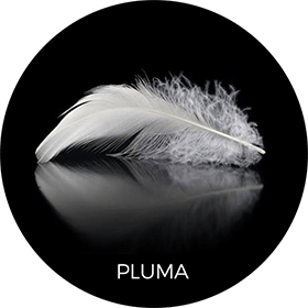 Campera de plumas